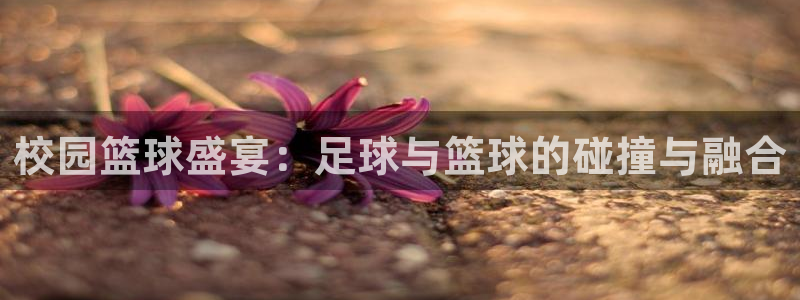 意昂2开户