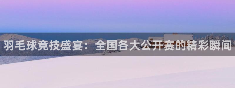 意昂2官网：羽毛球竞技盛宴：全国各大