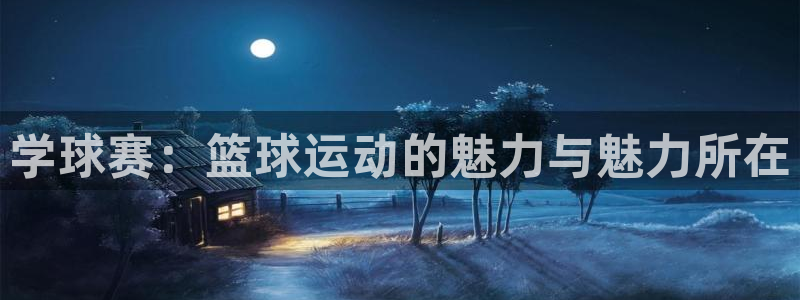 意昂2账号登录入口：学球赛：篮球运动的魅力与魅力所在
