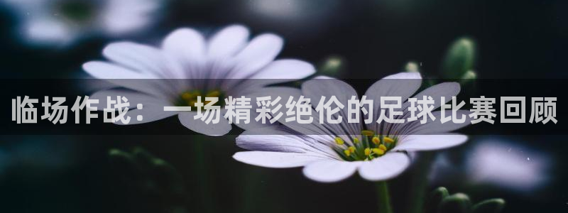 意昂2体育：临场作战：一场精彩绝伦的