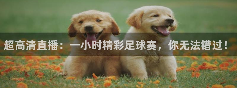 意昂2意昂2平台：超高清直播：一小时