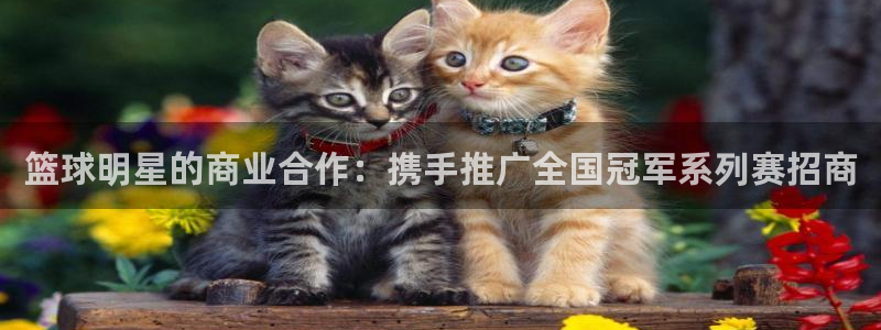  意昂2平台登录：篮球明星的商业合作：携手推广全国冠军系列赛招