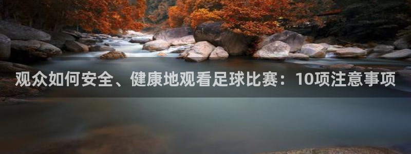  意昂2体育官方网站：观众如何安全、健康地观看足球比赛：10项