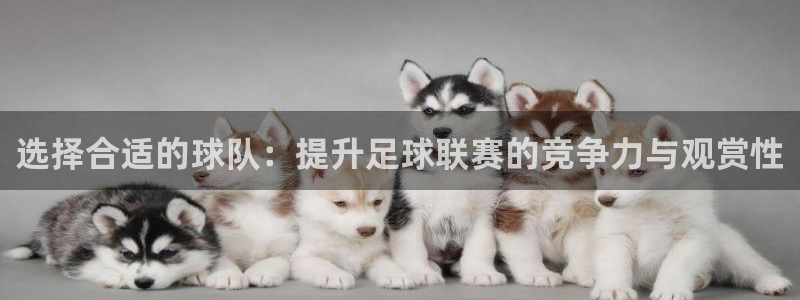  意昂2体育：选择合适的球队：提升足球联赛的竞争力与观赏性