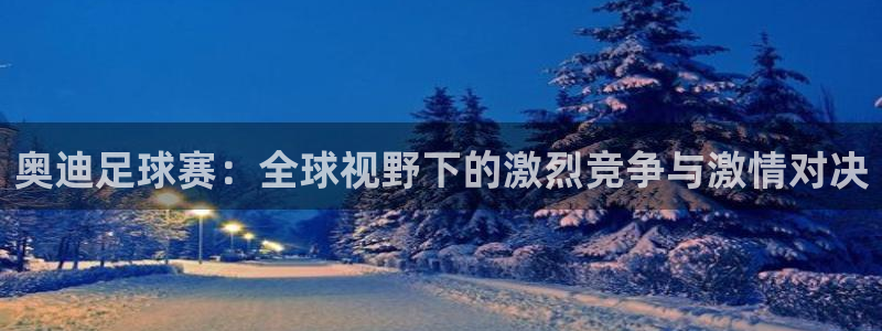 意昂2平台登录：奥迪足球赛：全球视野下的激烈竞争与激情对决