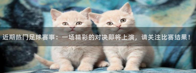 意昂2代理注册：近期热门足球赛事：一场精彩的对决即将上演，请