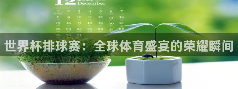  意昂2官网：世界杯排球赛：全球体育盛宴的荣耀瞬间