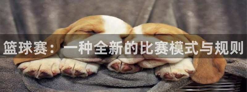 意昂2体育平台：篮球赛：一种全新的比
