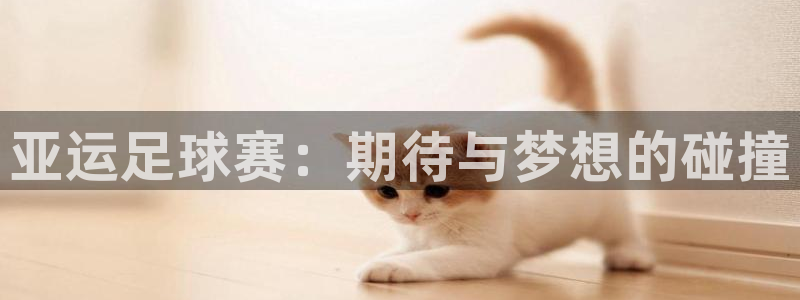 意昂2体育平台：亚运足球赛：期待与梦想的碰撞