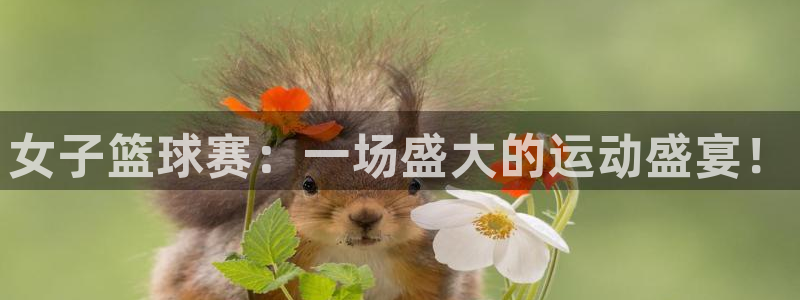 意昂2意昂2平台：女子篮球赛：一场盛