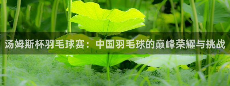 意昂2登录注册：汤姆斯杯羽毛球赛：中国羽毛球的巅峰荣耀与挑战