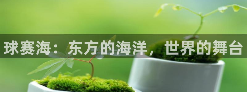  意昂2如何注册开户：球赛海：东方的海洋，世界的舞台
