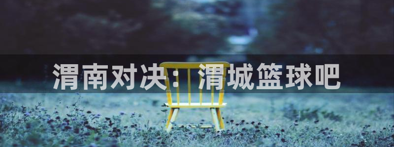 意昂2平台：渭南对决：渭城篮球吧