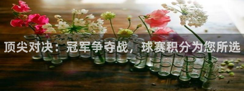  意昂2平台怎么样：顶尖对决：冠军争夺战，球赛积分为您所选