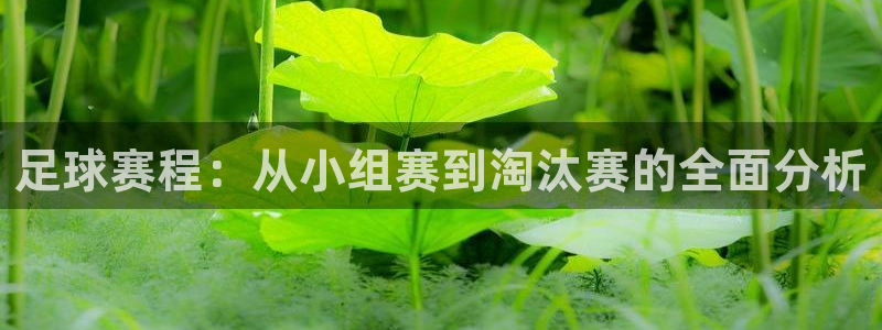 意昂2官网：足球赛程：从小组赛到淘汰赛的全面分析