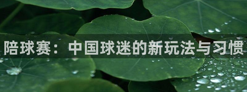 意昂2体育官方网站：陪球赛：中国球迷