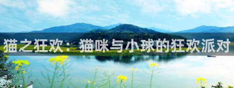  意昂2登录：猫之狂欢：猫咪与小球的狂欢派对