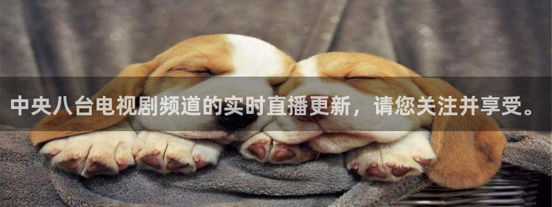 山猫体育直播在线观看nba：中央八台电视剧频道的实时直播更新，请您关注并享受。