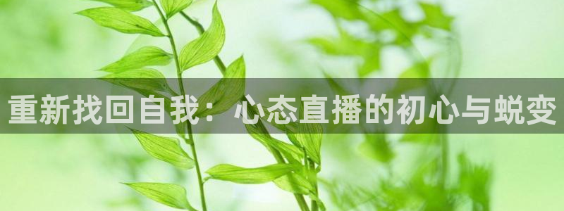 山猫免费nba直播视频直播：重新找回自我：心态直播的初心与蜕变