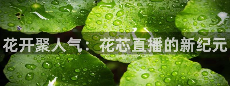 山猫直播免费足球：花开聚人气：花芯直播的新纪元