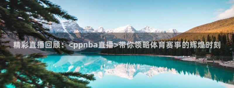 山猫体育平台：精彩直播回顾：<ppnba直播>带你领略体育赛事的辉煌时刻